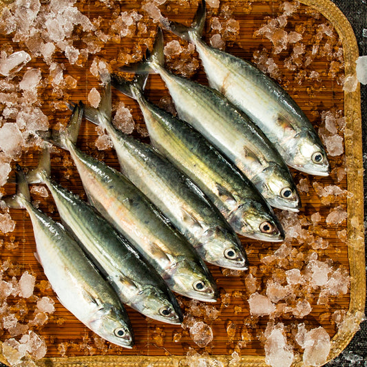 Mackerel | Ayila