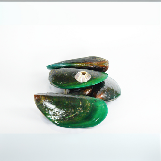 Whole Green Mussels (With Shell)