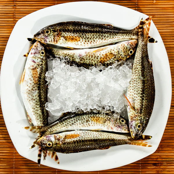 Black Mullet | Karu Nagarai