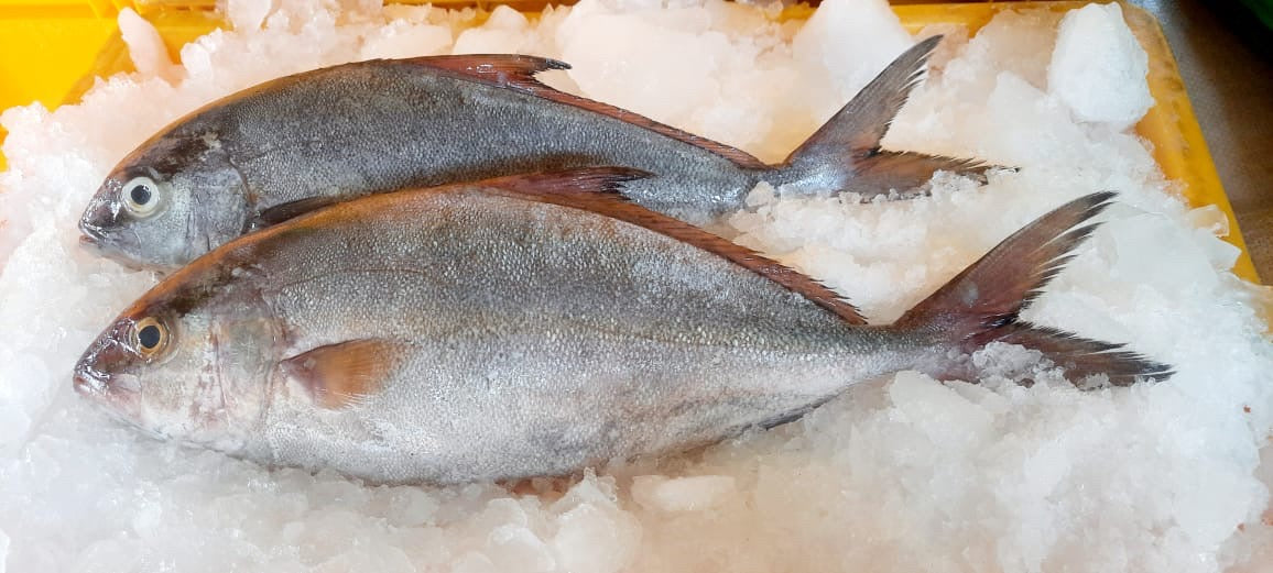 Butter fish | ponnaram