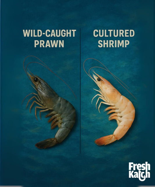 Difference Between Wild-Caught Prawns and Cultured Shrimps
