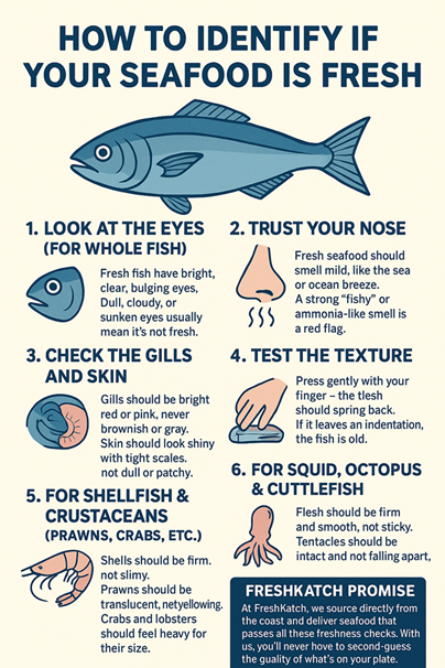 How to Identify if Your Seafood is Fresh