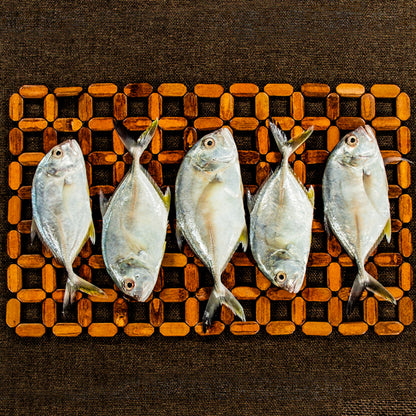Trevally (Medium Size ) | Paarai