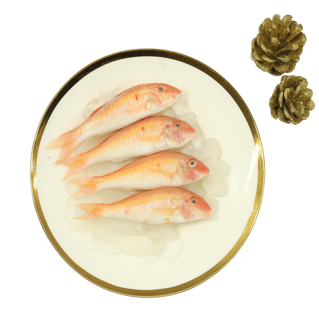 Red Mullet (Big Size) | Uruttu Nagarai