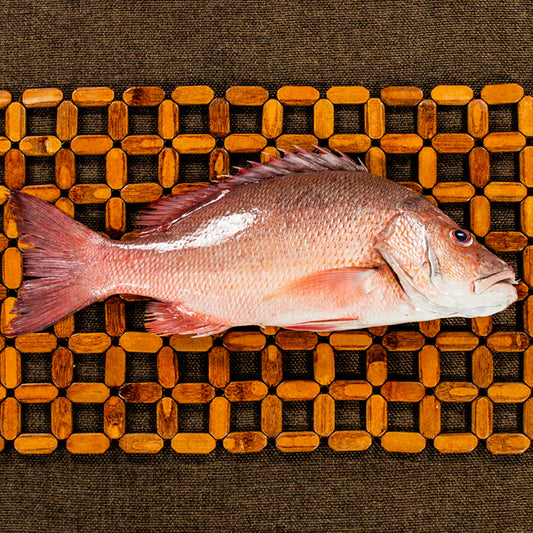 Red Snapper | Seppili