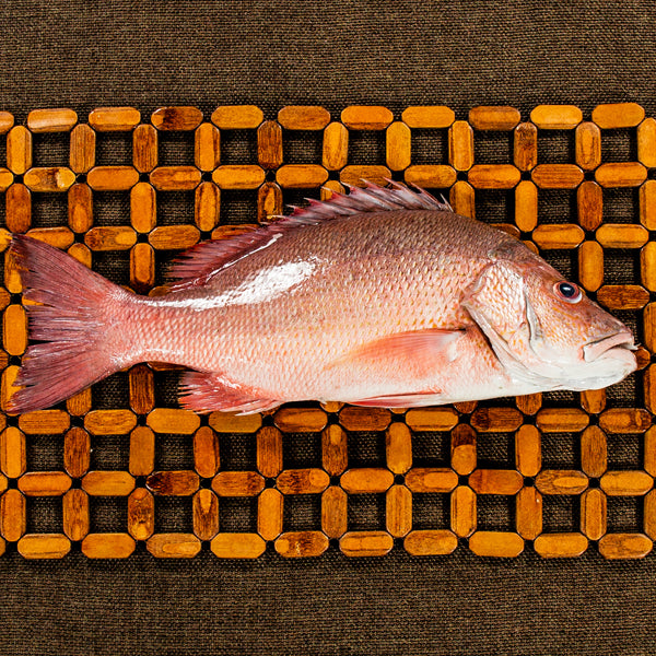 Red Snapper | Seppili