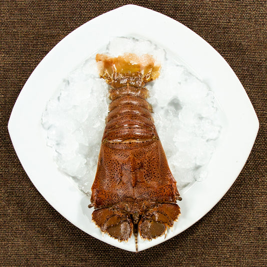 Sand Lobster