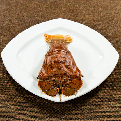 Sand Lobster