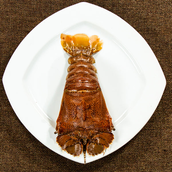 Sand Lobster