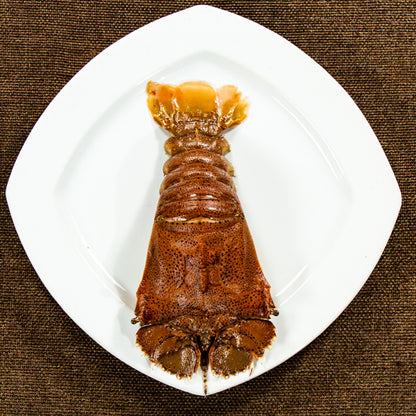 Sand Lobster