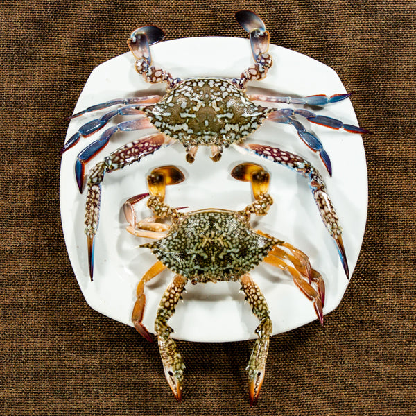 Blue Crab