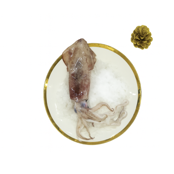 Squid | Kanavai