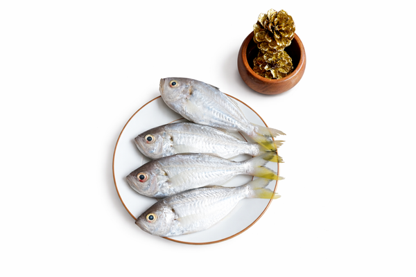 False Trevally | kuthipu