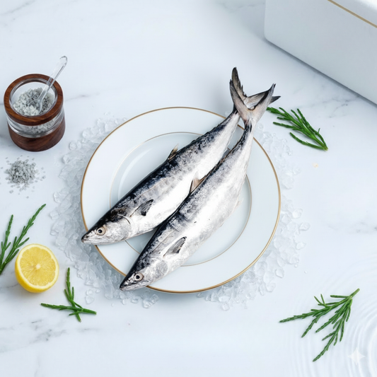 Seer Fish (Big Size) | Vanjaram