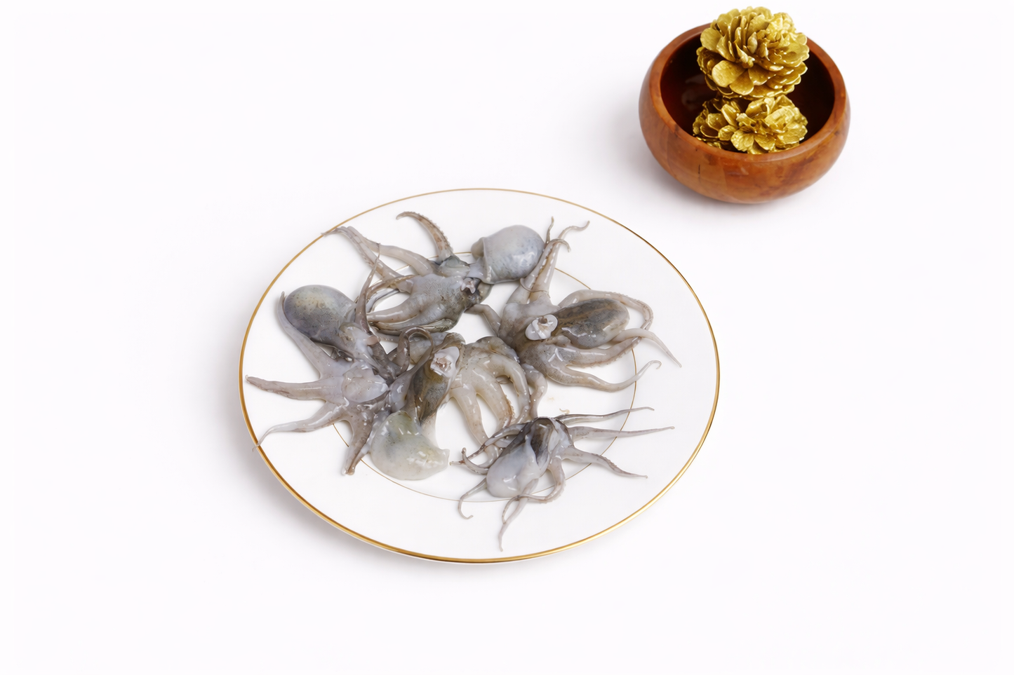 Baby octopus | Kanavai