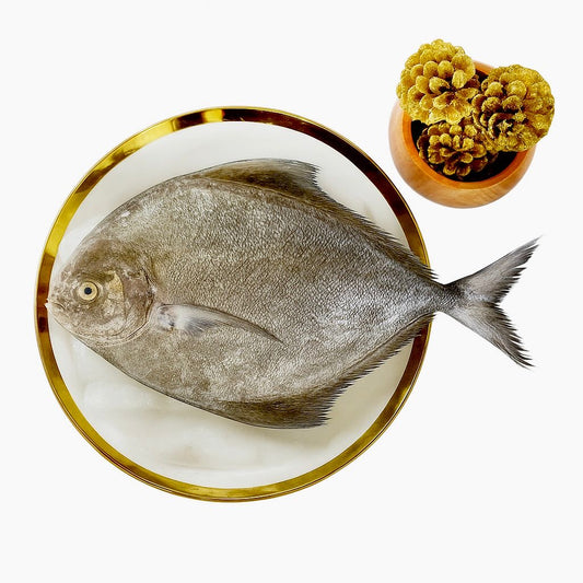 Black Pomfret (Big Size) | Vaval