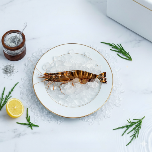 Jumbo Tiger Prawn (10-12 count per kg)