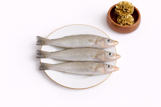 Lady Fish | Kilangan