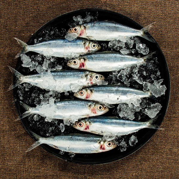 Sardine (Chaalai)