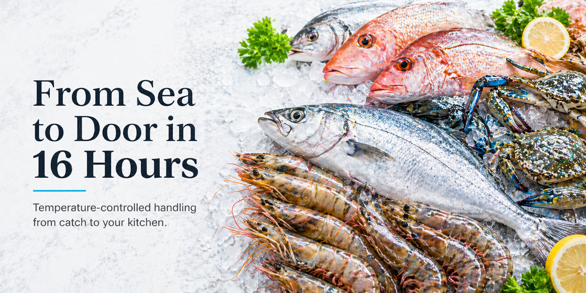 Fresh & Tender Seafood from the shores of Rameshwaram | FreshKatch