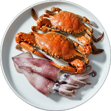 Crabs & Squids