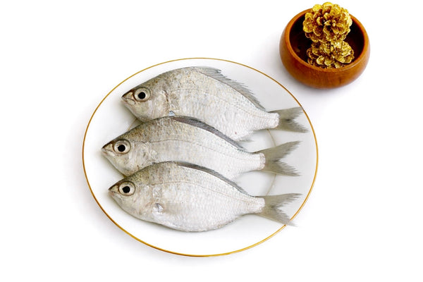 Silver Biddy | Oodagam