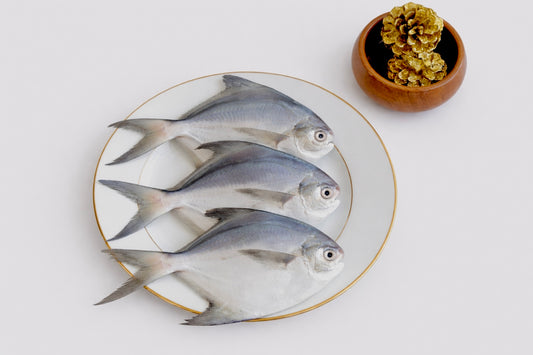 Silver Pomfret (Small Size) | Vaval