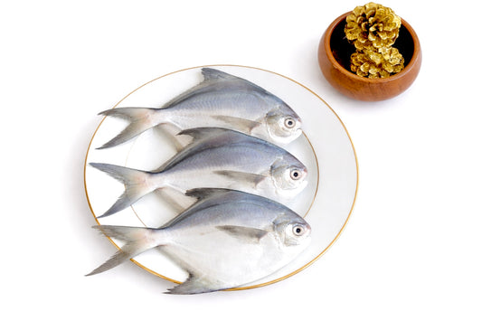 Silver Pomfret (Small Size) | Vaval