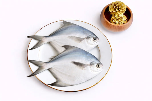 Silver Pomfret (Medium Size) | Vaval