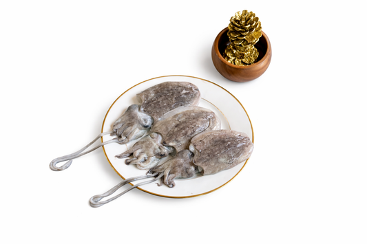 Cuttle Fish | Kanavai