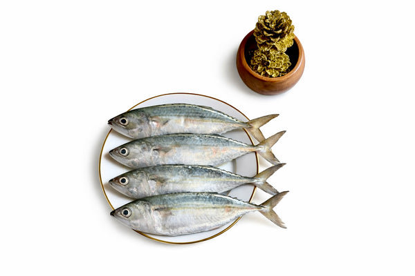 Mackerel | Ayila
