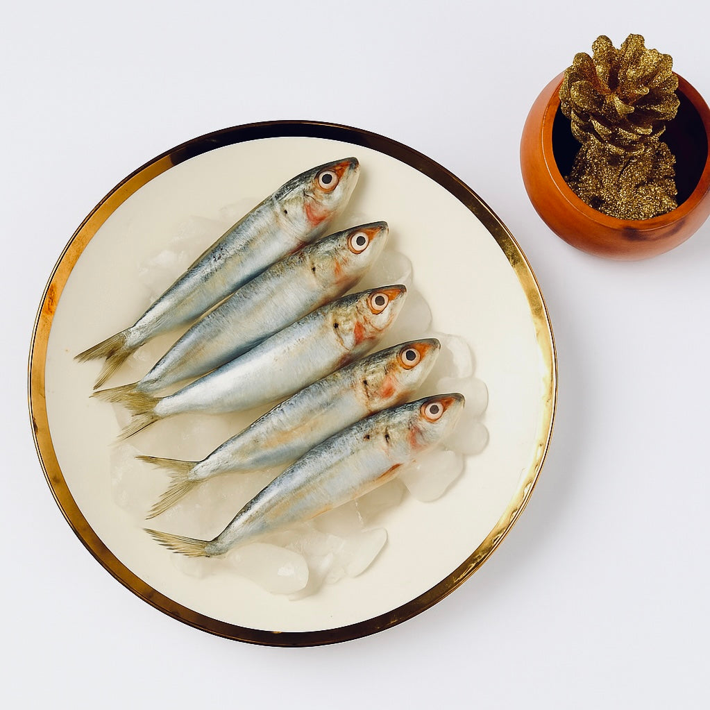 Sardine (Chaalai)