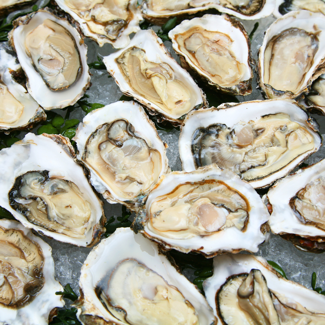 Oyster Meat