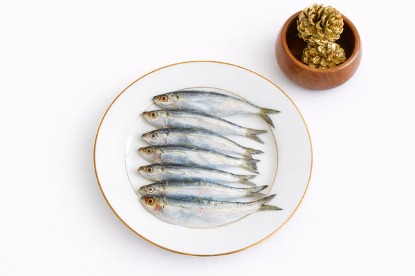 Sardine (Chaalai)