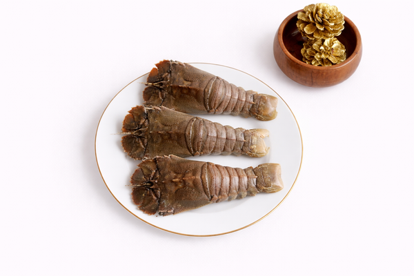 Sand Lobster