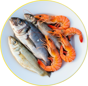 Fresh & Tender Seafood from the shores of Rameshwaram | FreshKatch