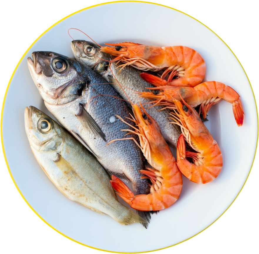 Fresh & Tender Seafood from the shores of Rameshwaram | FreshKatch