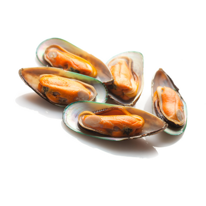 Brown Mussels meat |