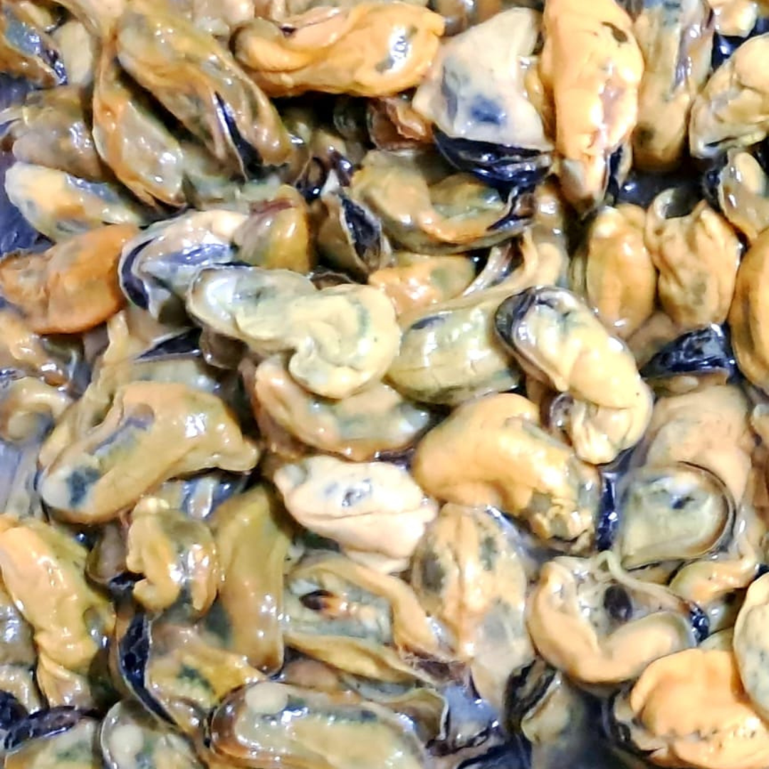 Brown Mussels meat |