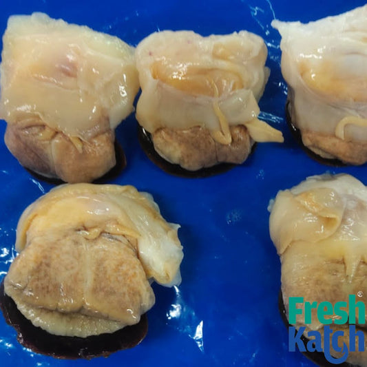 Conch Meat |  Sangu Sathai / Kari