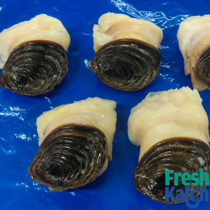 Conch Meat |  Sangu Sathai / Kari