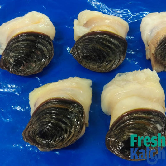 Conch Meat |  Sangu Sathai / Kari