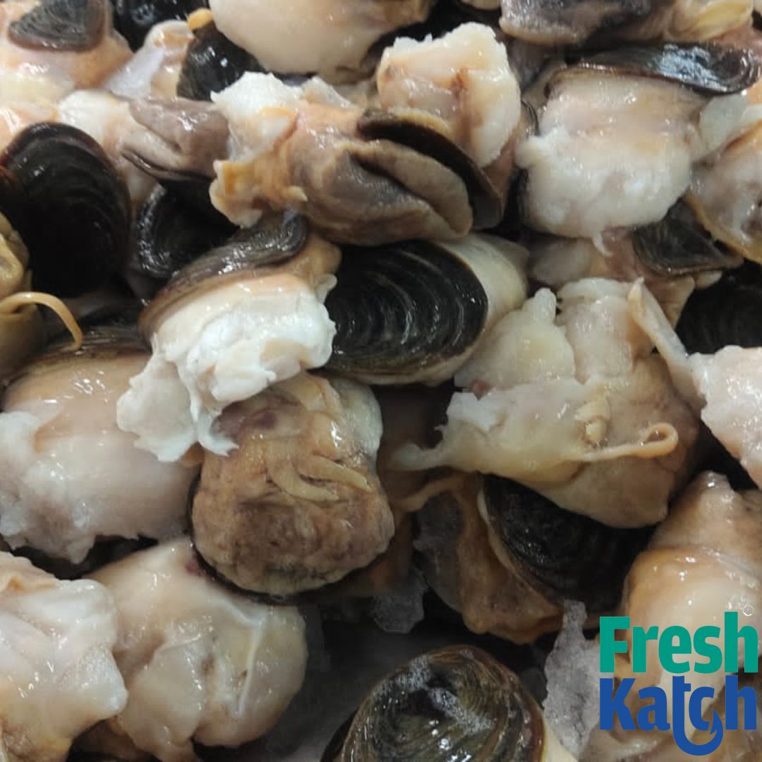 Conch Meat |  Sangu Sathai / Kari