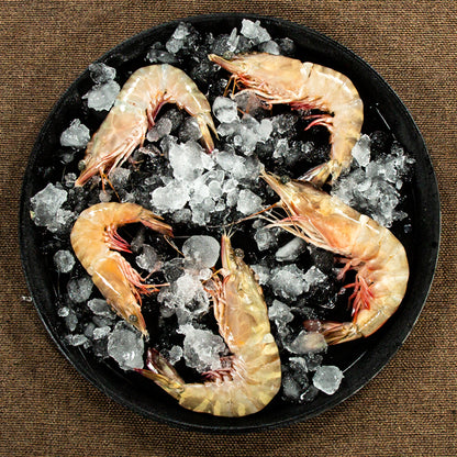 Medium Sized Prawn