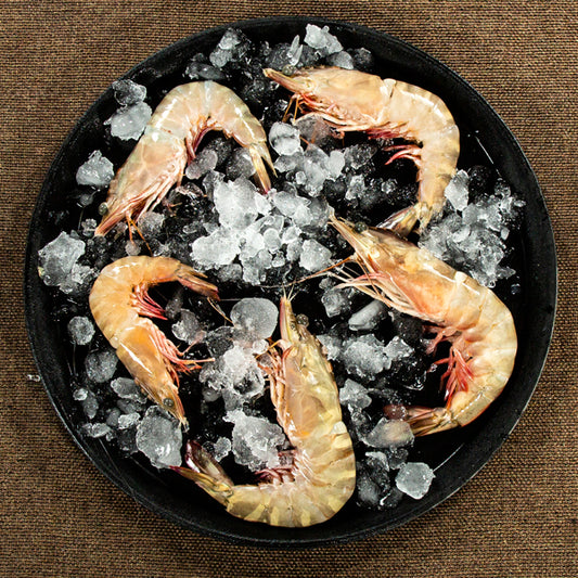 Medium Sized Prawn