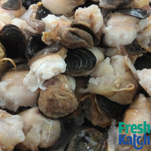 Load image into Gallery viewer, Conch Meat |  Sangu Sathai / Kari
