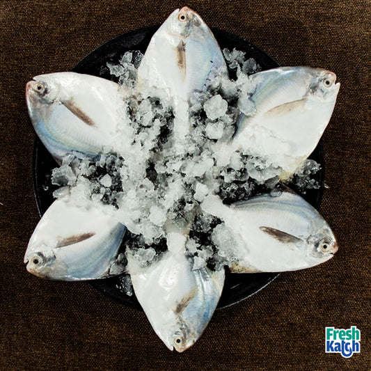 Silver Pomfret (Big Size) | Vaval