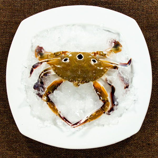 3-Spot Crab