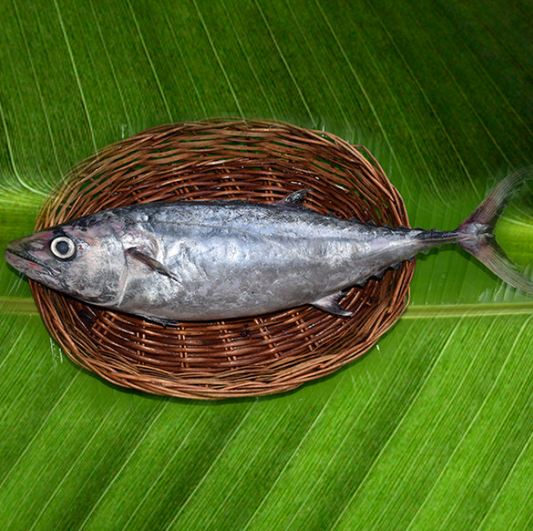 Tuna Cubes | Surai (Frozen)