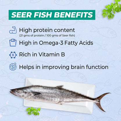 Seer Fish (Small Size ) | Vanjaram